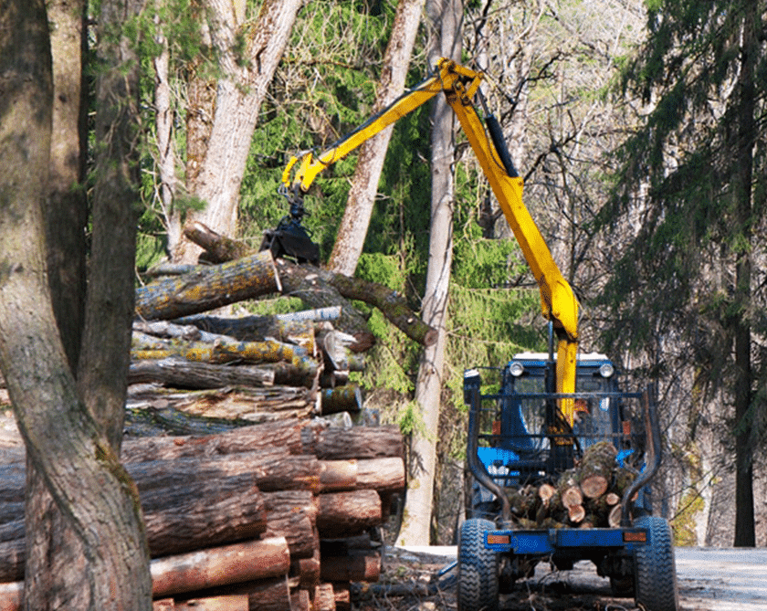 El fabricante global de equipos forestales selecciona a Annata para la digitalización en toda la empresa.